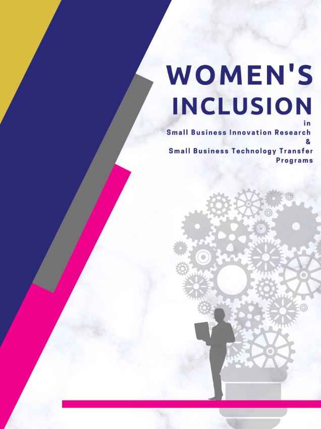 The cover of women's inclusion in social business technology.